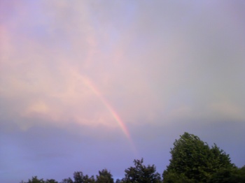 2009.07.19見事な虹の出た日.jpg