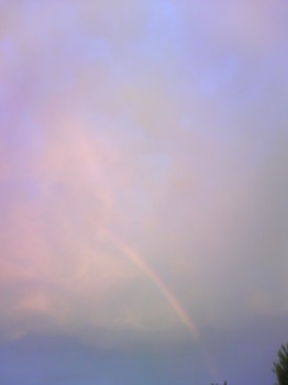 2009.07.19見事な虹の日.jpg